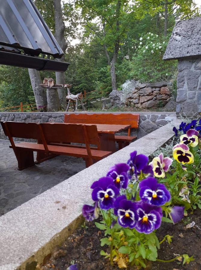 Villa Kuca Za Odmor "Med Strmci" Zlobin Exterior foto